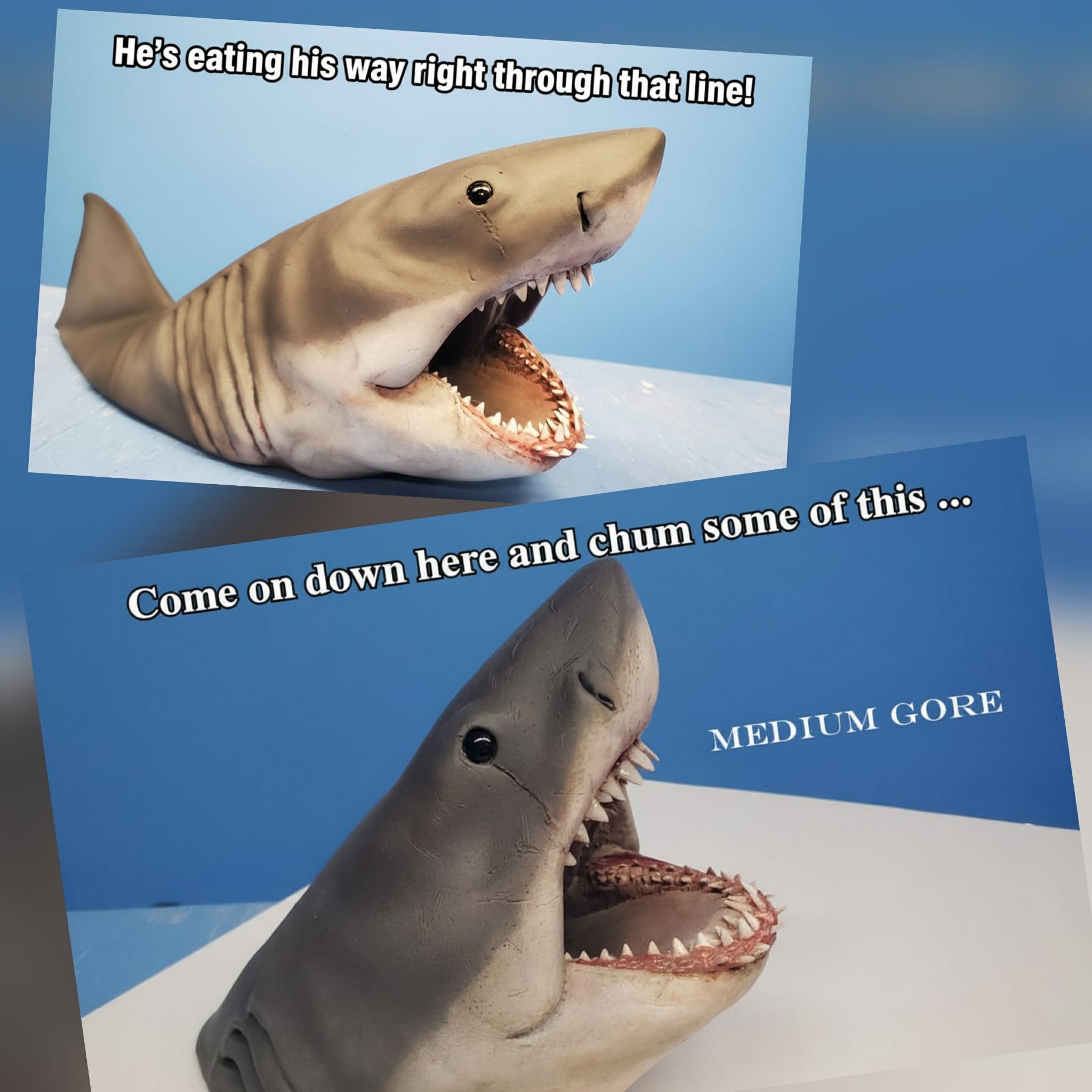 1:8 Scale Sh...SHA..ShAA... Shelf Shark Series