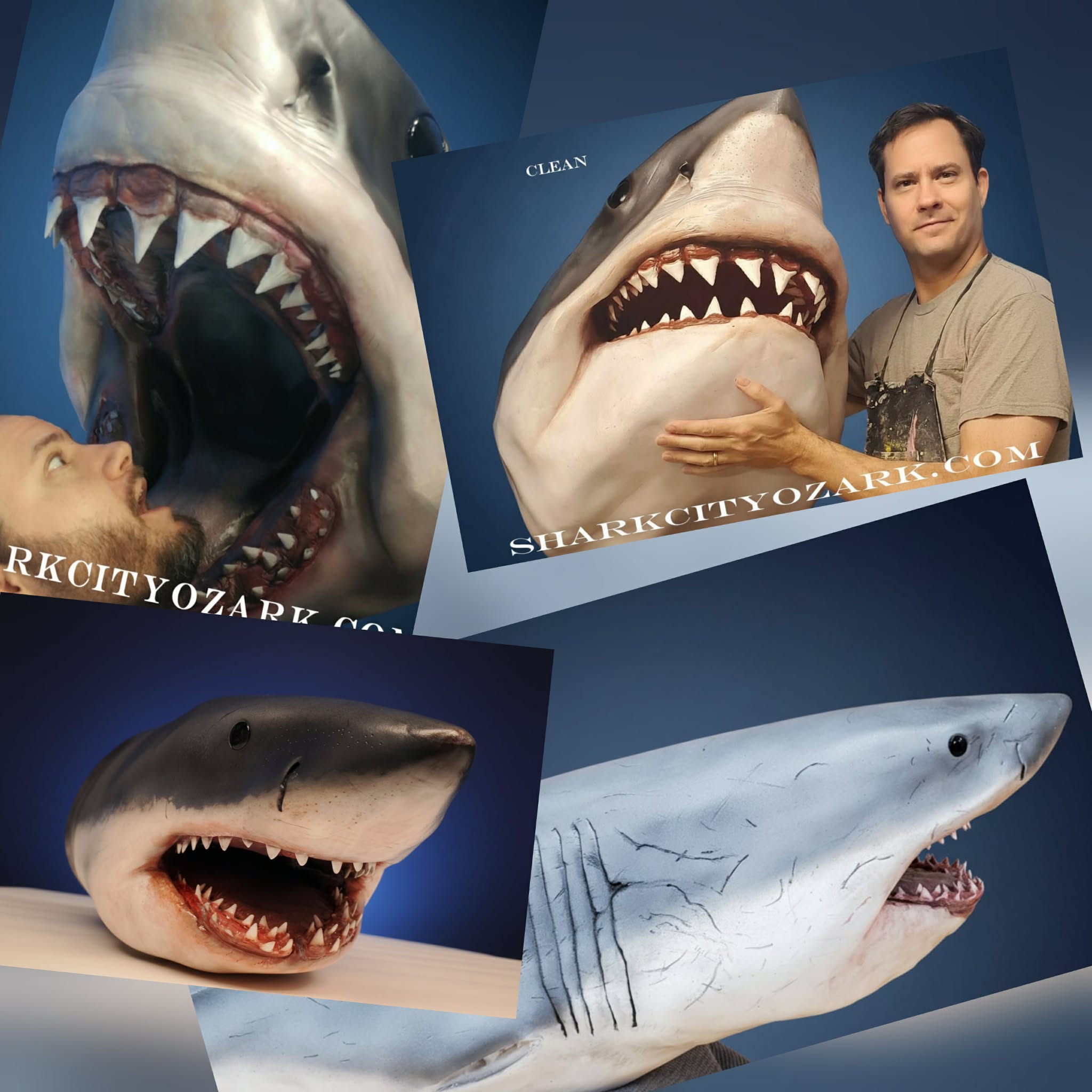 Reel Life Shark Collection