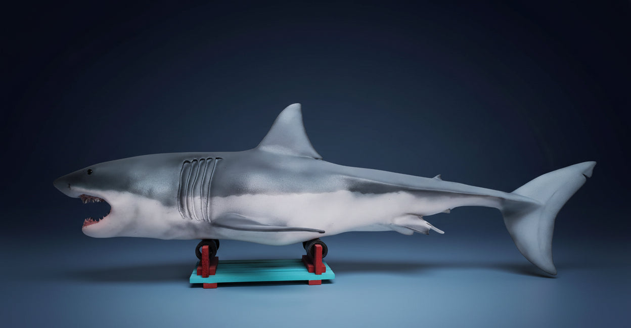 Toy shark on a stand with 'sharkcityozark.com' text below