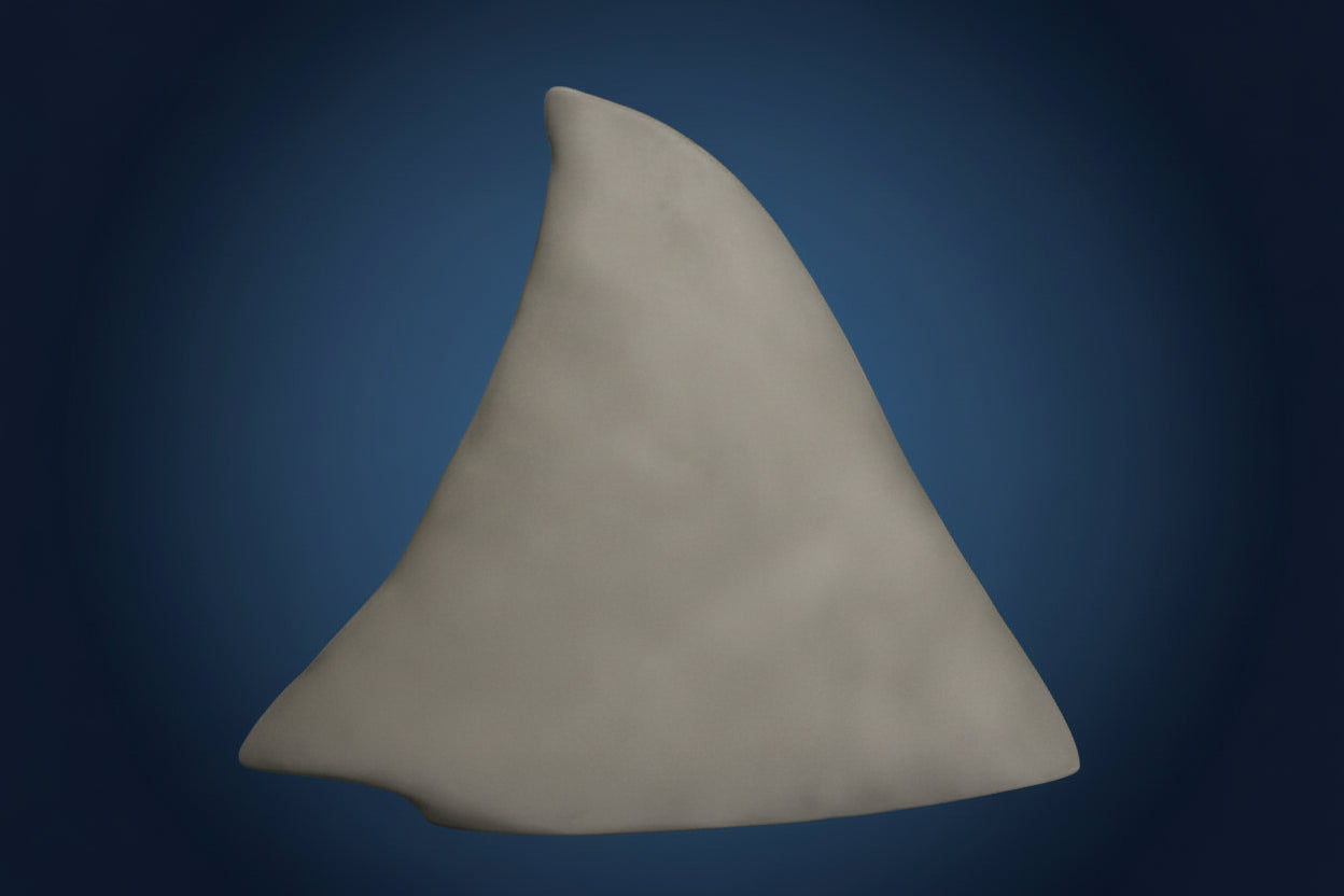 Gray shark fin on a blue background. jaws shark dorsal fin