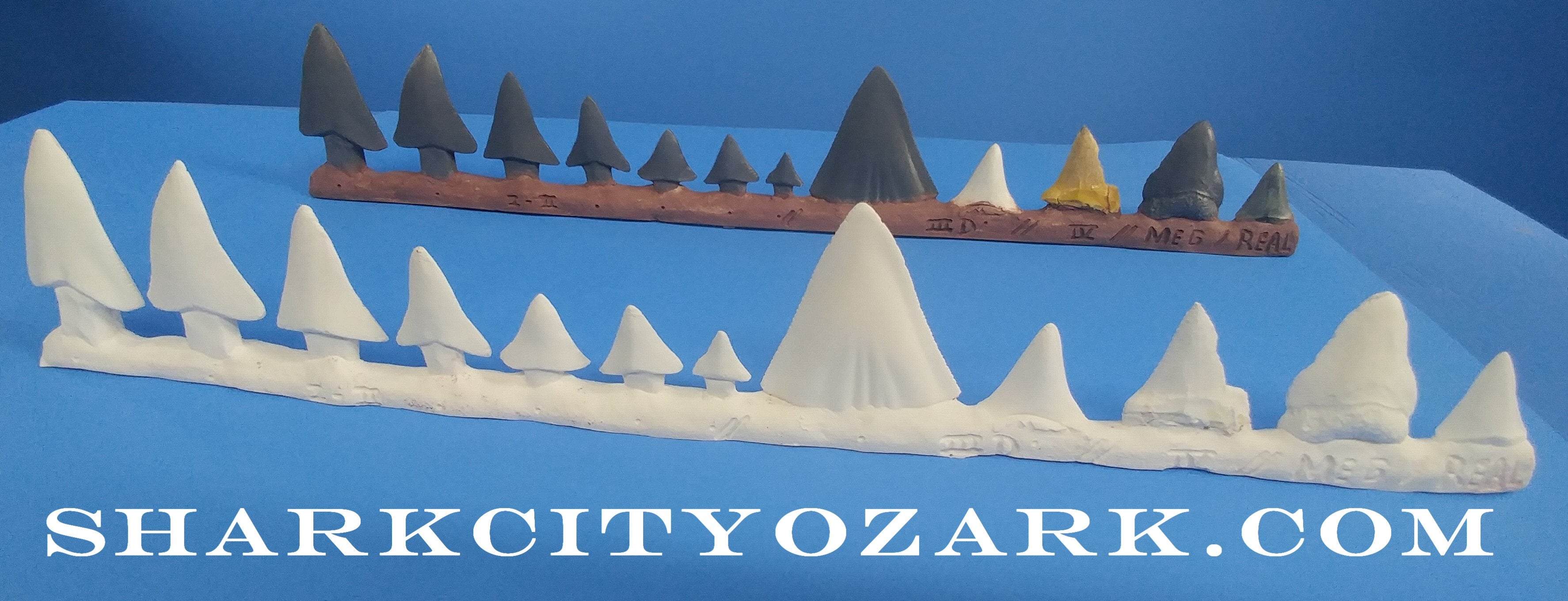 SCO's Bruce Shark Teeth Collector's Set