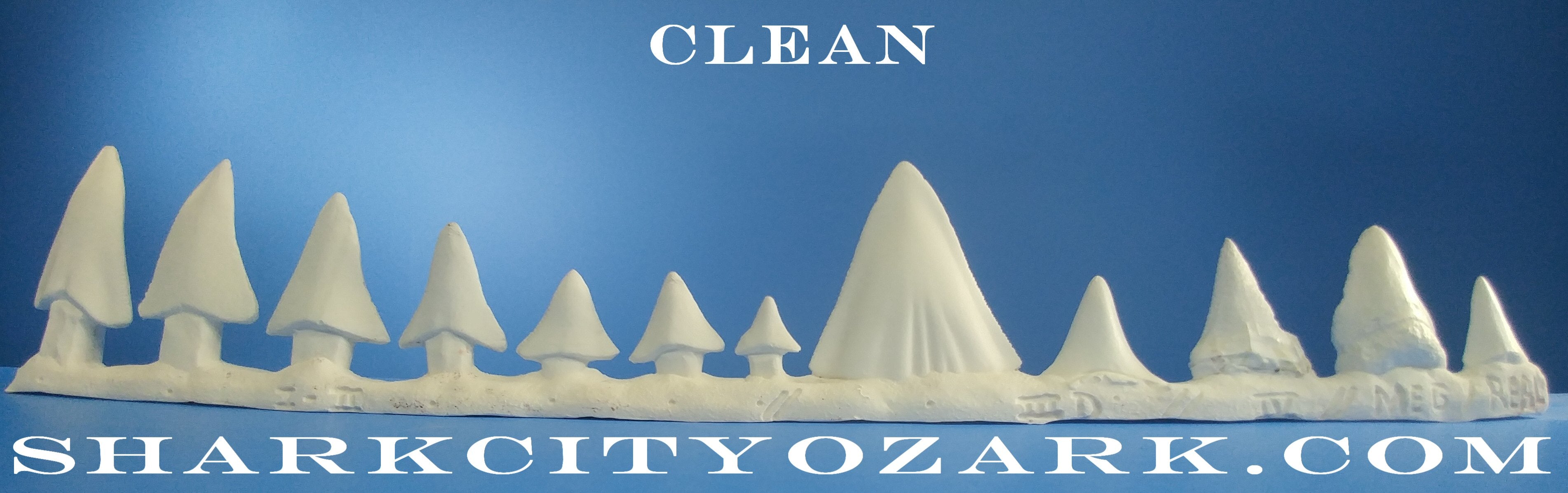 SCO's Bruce Shark Teeth Collector's Set