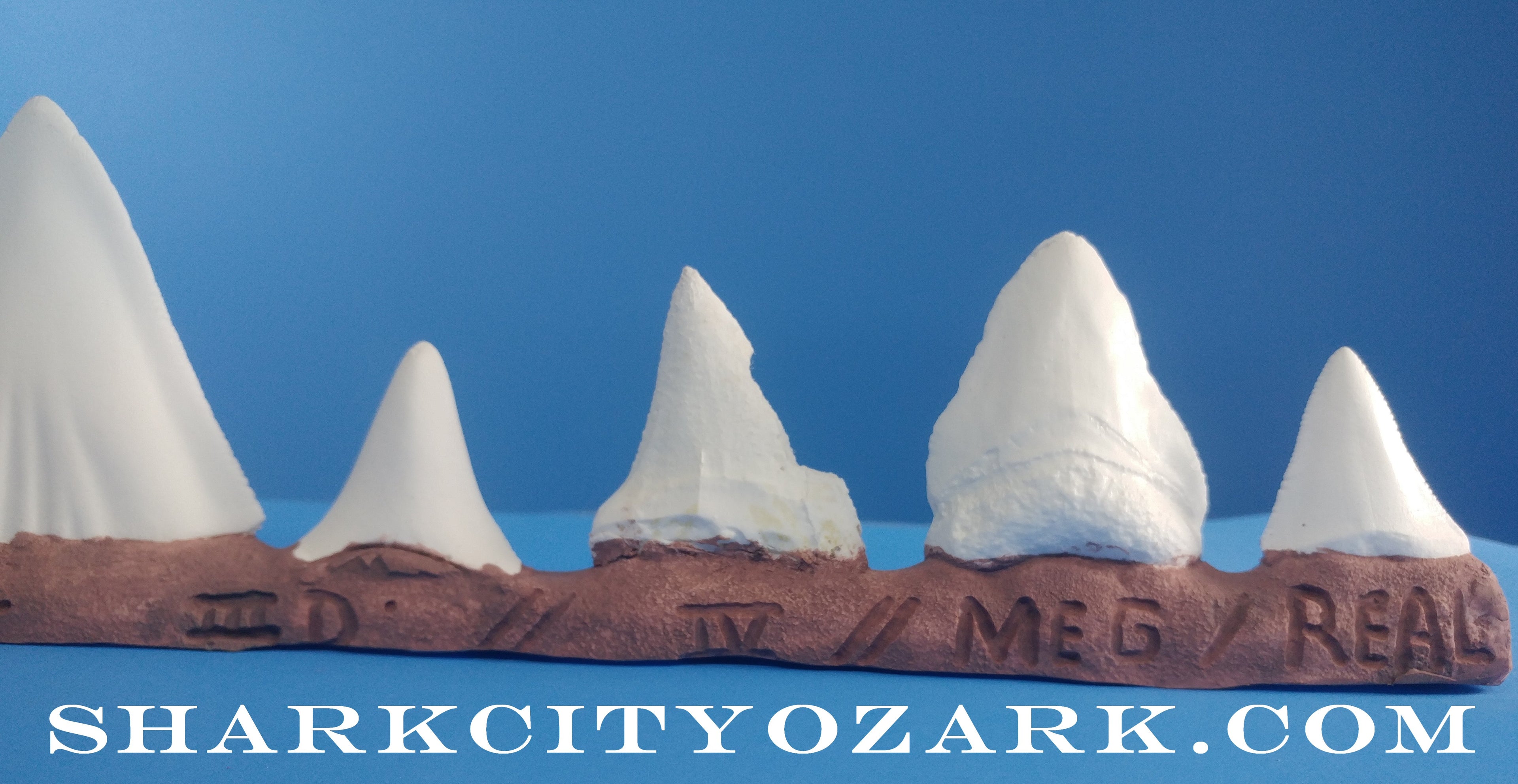 SCO's Bruce Shark Teeth Collector's Set