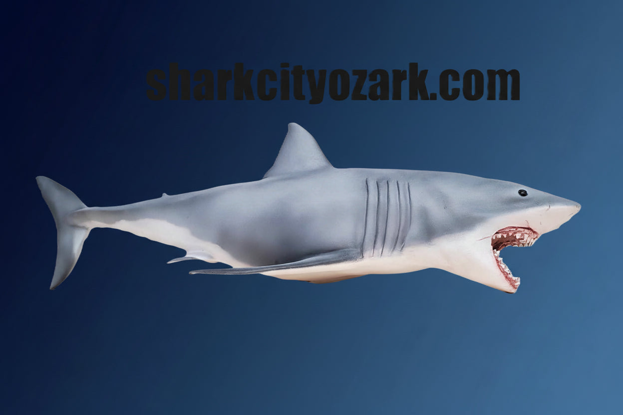 Shark model with 'sharkcityozark.com' text on a white background. Jaws 3d shark