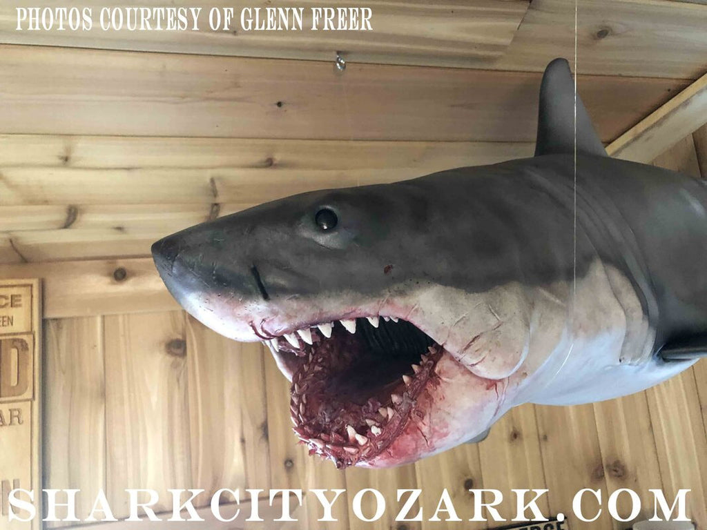 1:6-Plus Scale Master Bruce Attack Shark