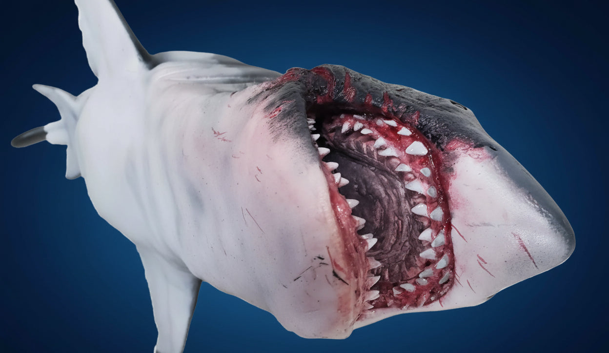 Model shark with open mouth showing teeth on a white background, featuring 'sharkcityozark.com' text.