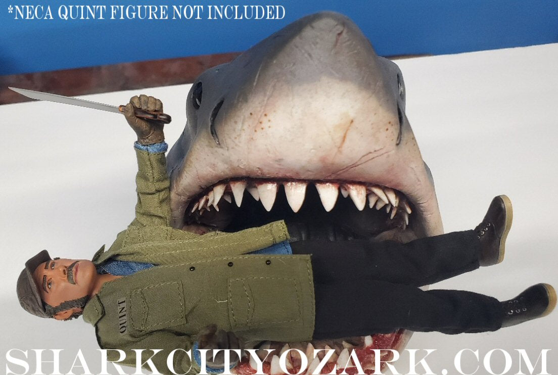1:8 Scale ORIGINAL 2007 Shelf Shark Bust, now UPDATED!