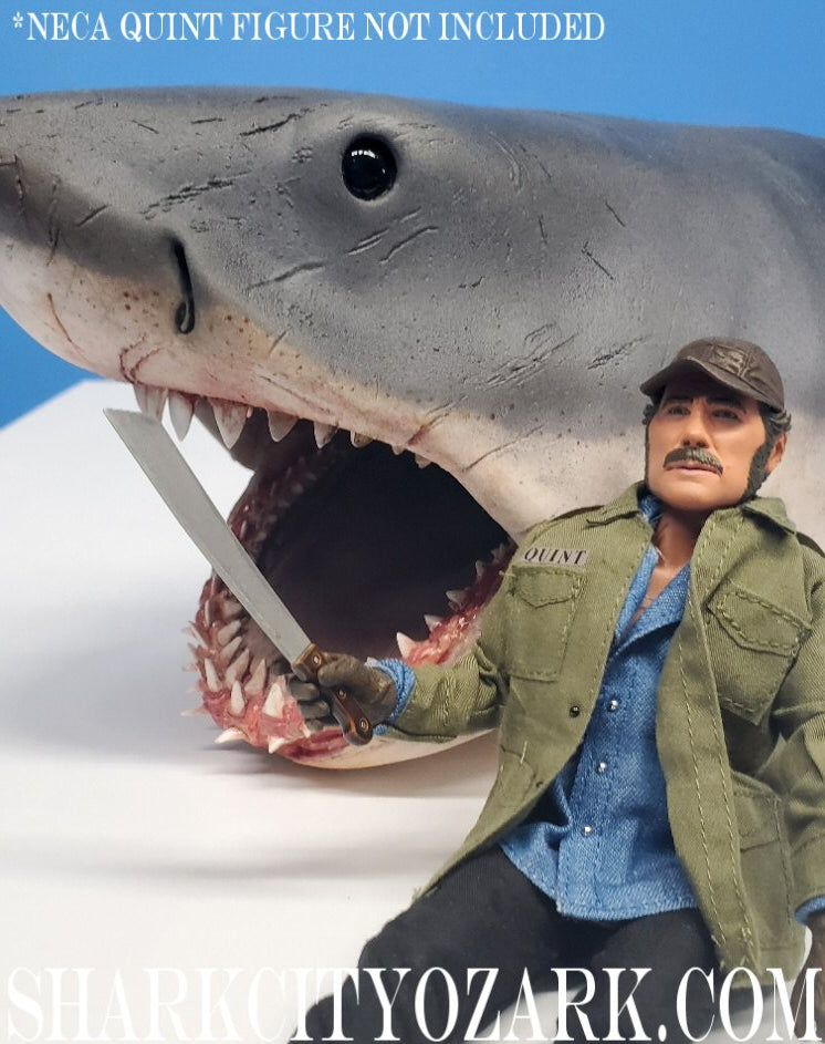 1:8 Scale ORIGINAL 2007 Shelf Shark Bust, now UPDATED!