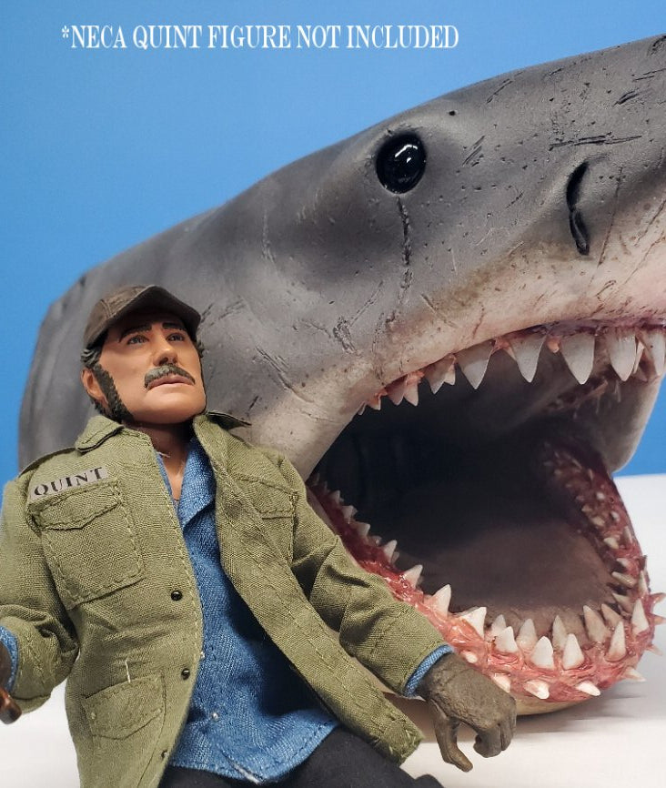 1:8 Scale ORIGINAL 2007 Shelf Shark Bust, now UPDATED!