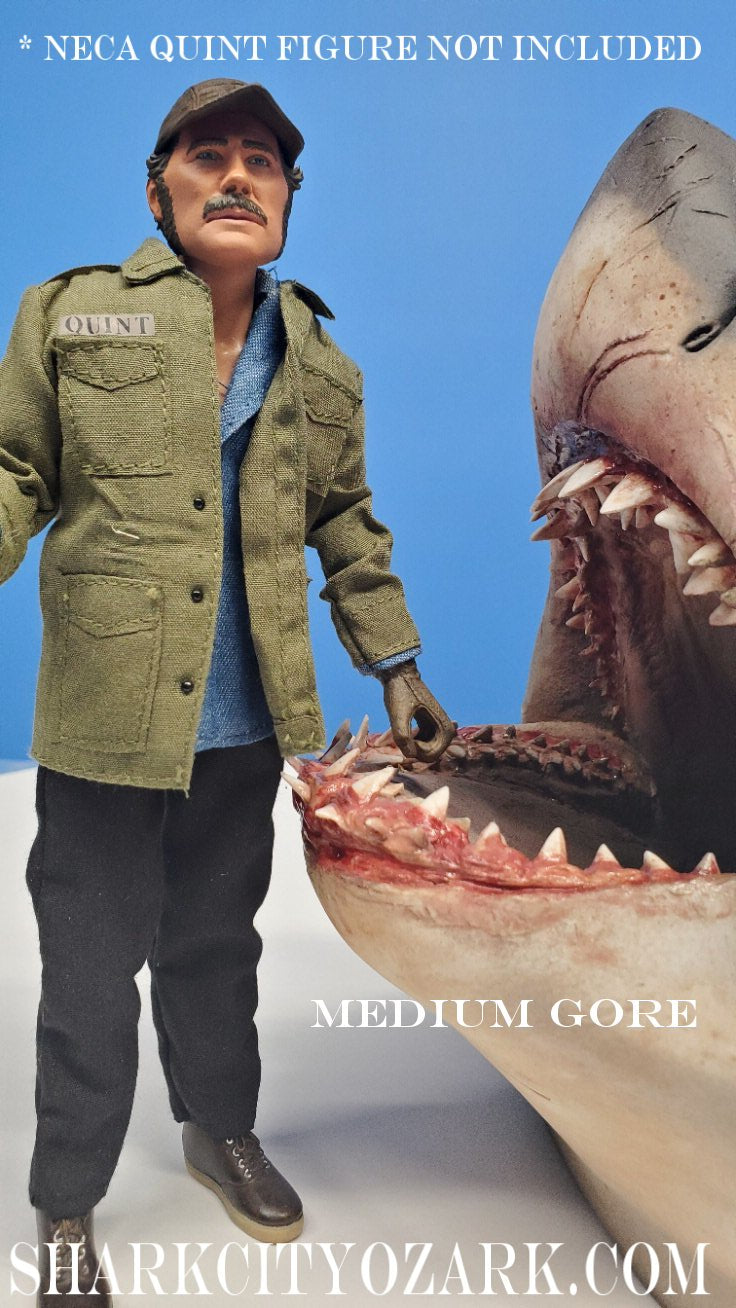 1:8 Scale ORIGINAL 2007 Shelf Shark Bust, now UPDATED!