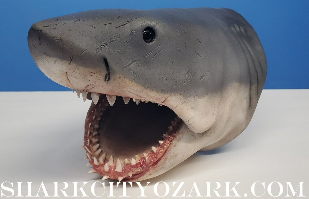 1:8 Scale ORIGINAL 2007 Shelf Shark Bust, now UPDATED!