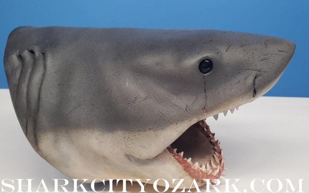 1:8 Scale ORIGINAL 2007 Shelf Shark Bust, now UPDATED!
