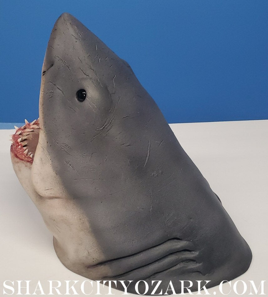 1:8 Scale ORIGINAL 2007 Shelf Shark Bust, now UPDATED!