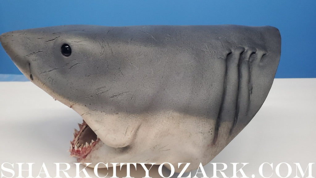 1:8 Scale ORIGINAL 2007 Shelf Shark Bust, now UPDATED!