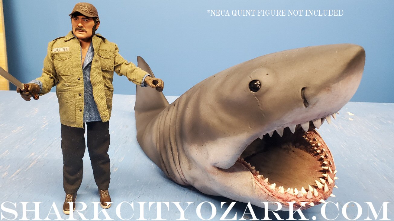 1:8 Scale HALF Length Shelf Shark with Dorsal