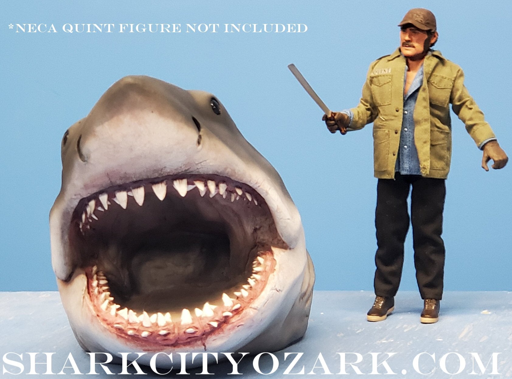 1:8 Scale HALF Length Shelf Shark with Dorsal