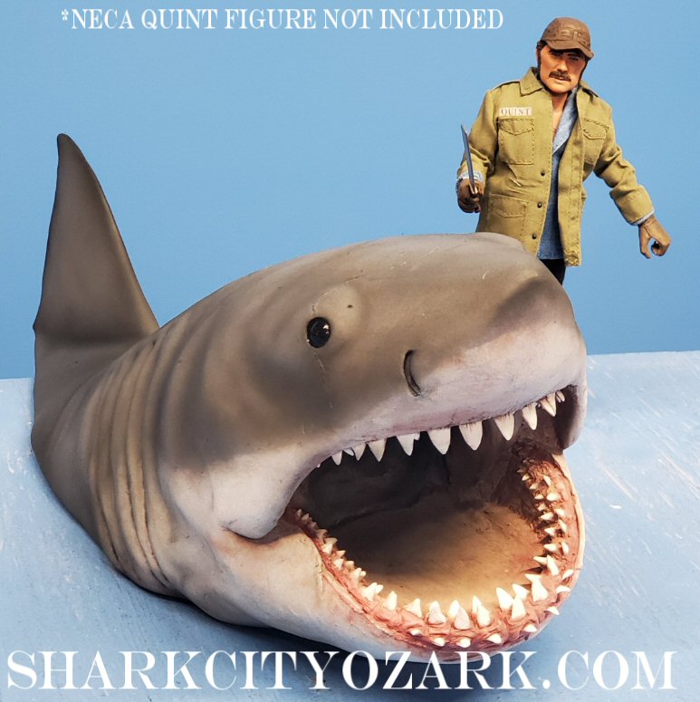 1:8 Scale HALF Length Shelf Shark with Dorsal