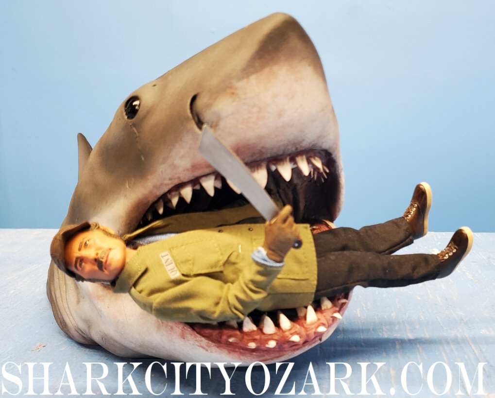 1:8 Scale HALF Length Shelf Shark with Dorsal