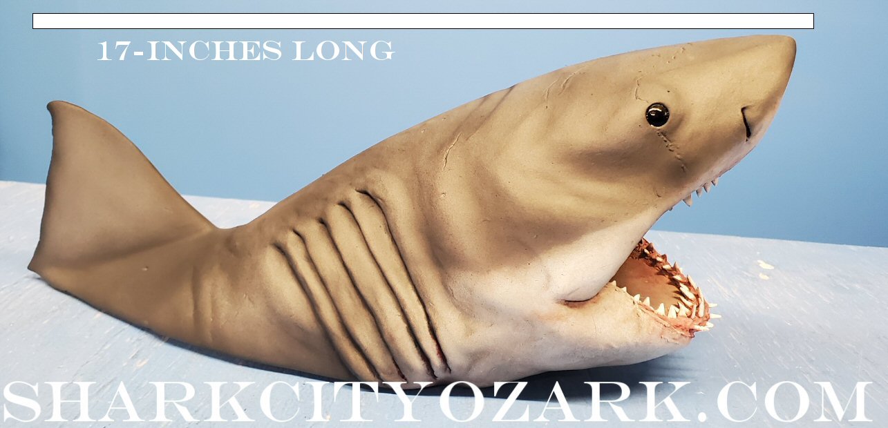 1:8 Scale HALF Length Shelf Shark with Dorsal