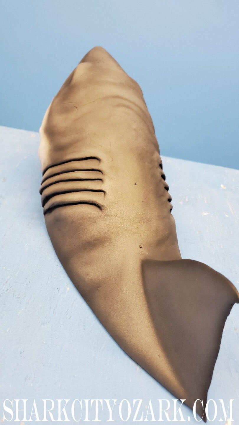 1:8 Scale HALF Length Shelf Shark with Dorsal