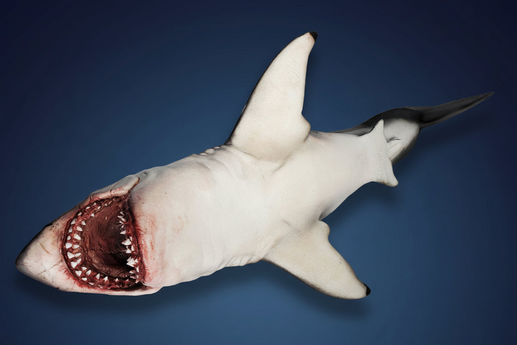 2-Foot Epic Bruce Shark