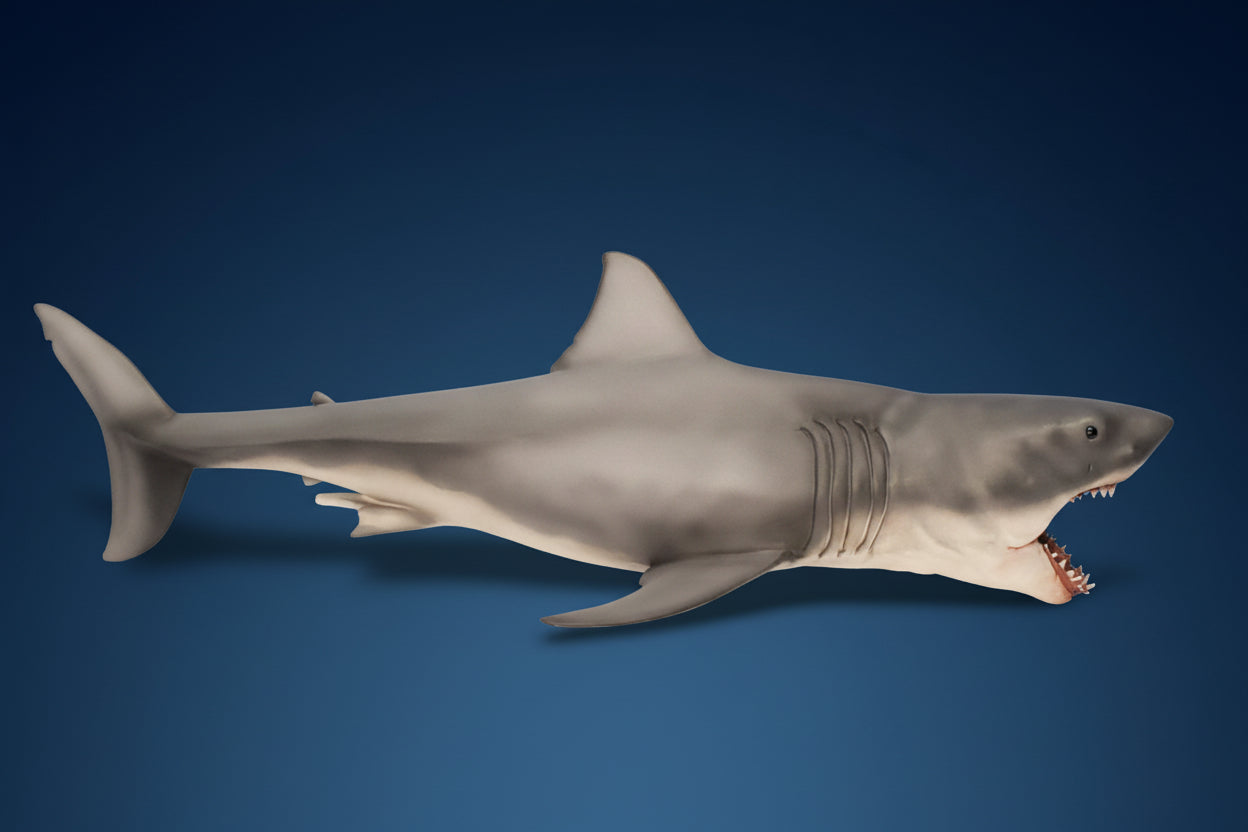 2-Foot Epic Bruce Shark