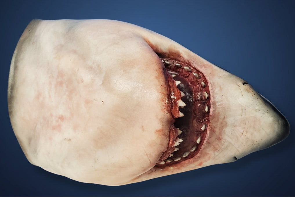 Close-up of a shark's open mouth with visible teeth on a blue and white background