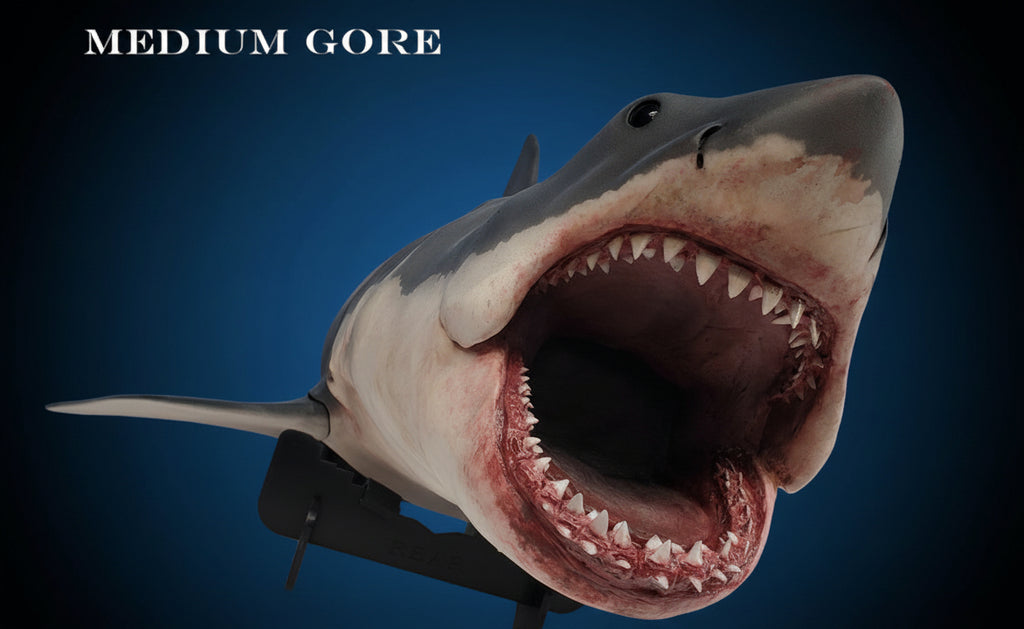 Model shark with open mouth on a blue background, featuring the text 'Shark City Ozark'. jaws shark bruce