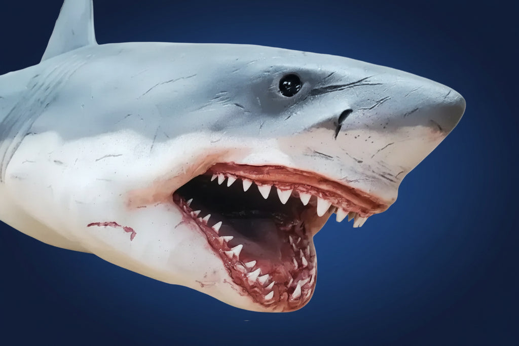Close-up of a shark with an open mouth, showing teeth, on a white background. great white shark attack