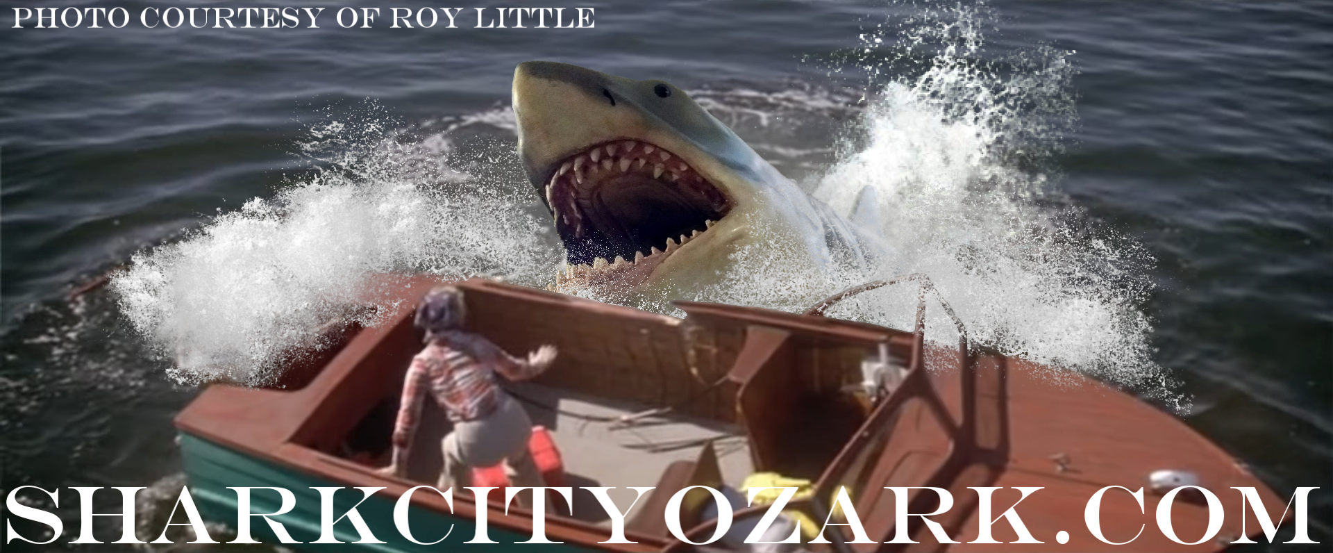 Shark attacking a person in a boat with 'Shark City Ozark' branding.