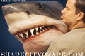 Man with a shark's head against a blue sky, promoting 'Shark City Ozark'. great white shark
