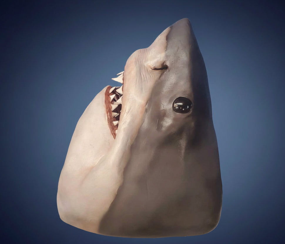 Shark model with open mouth on a blue background, featuring the text 'Shark City Ozark.com'. great white shark