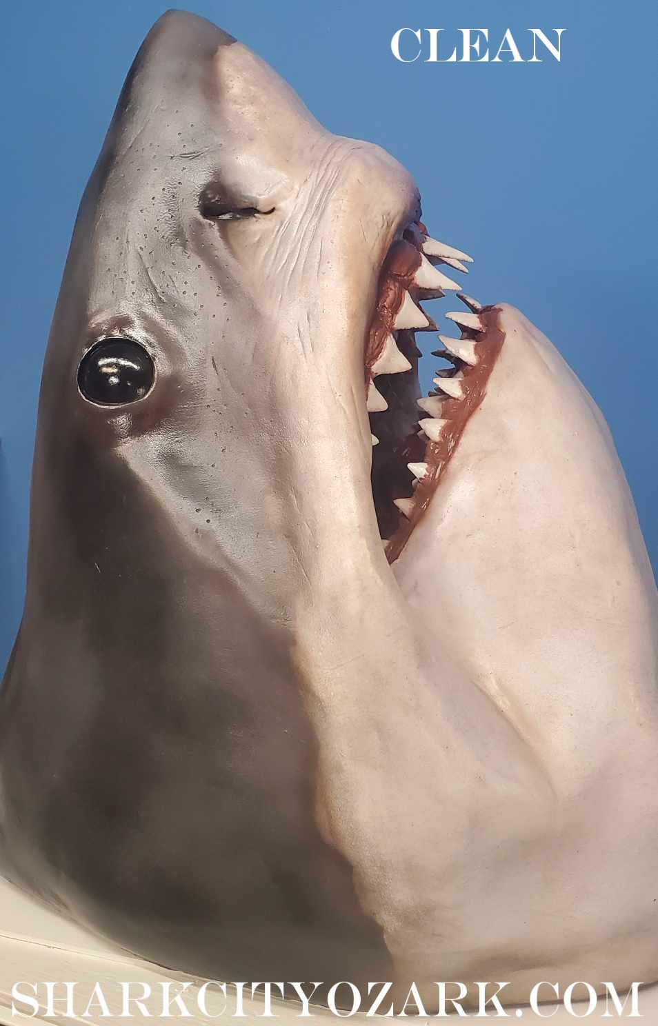 "REEL Life": Life-Sized Great White Shark Bust