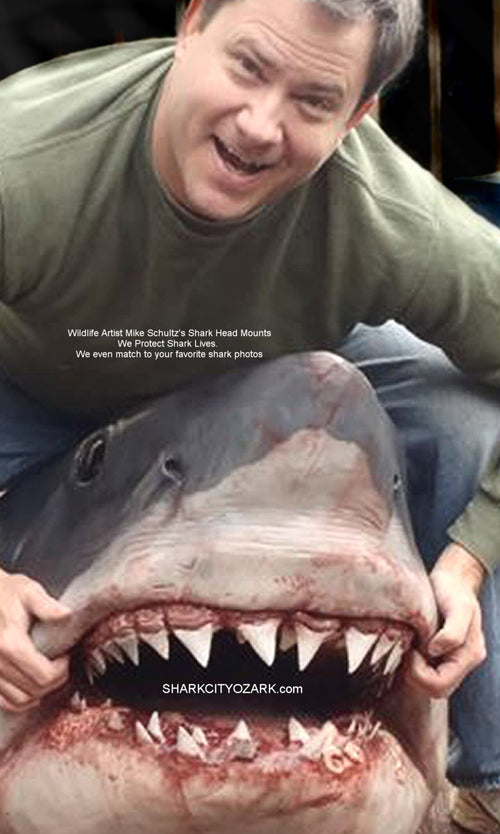 "REEL Life": Life-Sized Great White Shark Bust