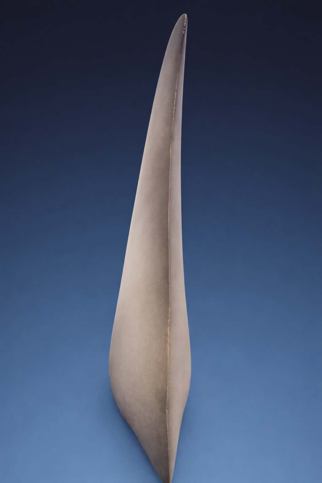 1:2 Scale Dorsal Fin