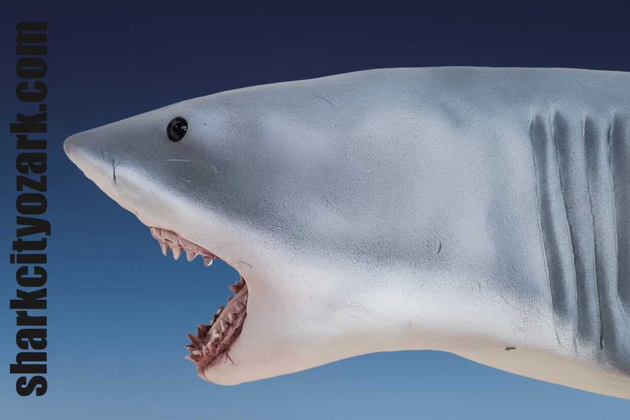 Close-up of a shark model with an open mouth, showing teeth, on a white background. jaws 3d shark