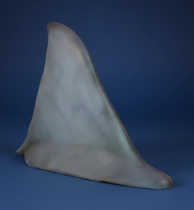 Shark fin on a white background with a brand logo in the corner. jaws shark fin