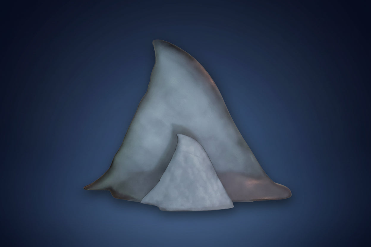 Shark fin-shaped object on a white background with 'Shark' logo. Jaws shark fin