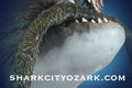 Close-up of a shark with a blurred background and 'Shark City Ozark' text.