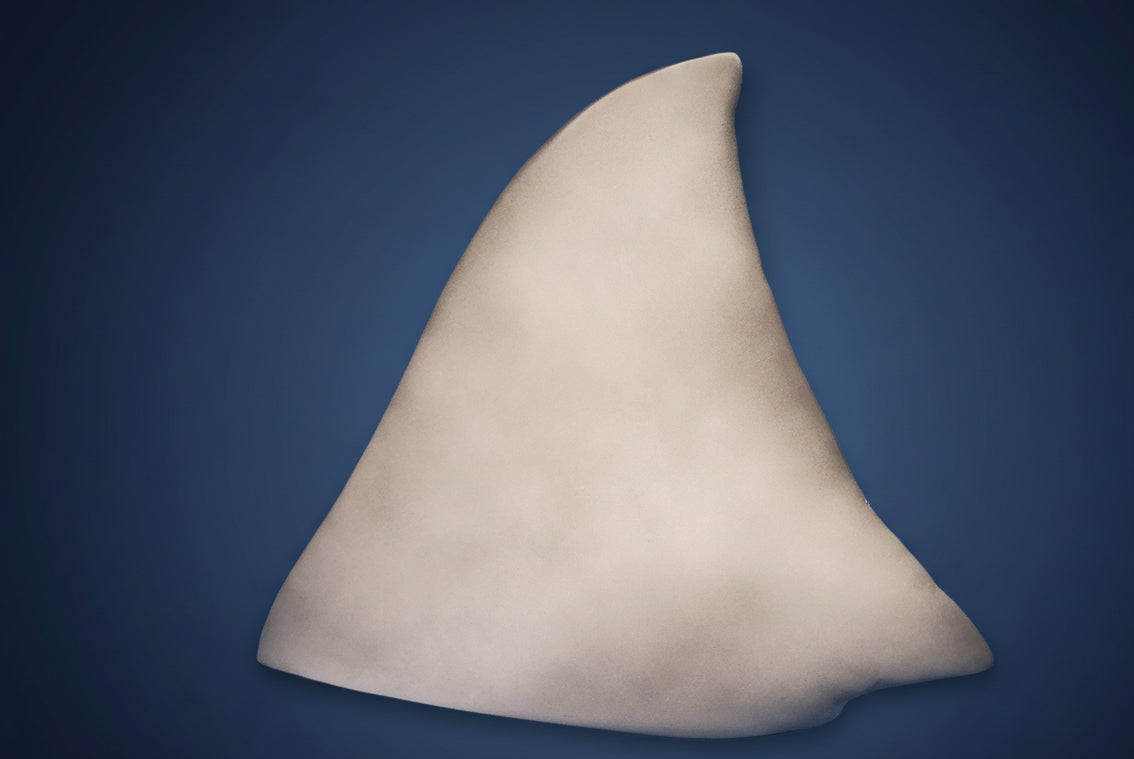 Shark fin against a blue background with 'SHARKCITYOZARK.COM' text. dorsal fin jaws shark