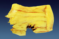 1:6 Scale Yellow Raft