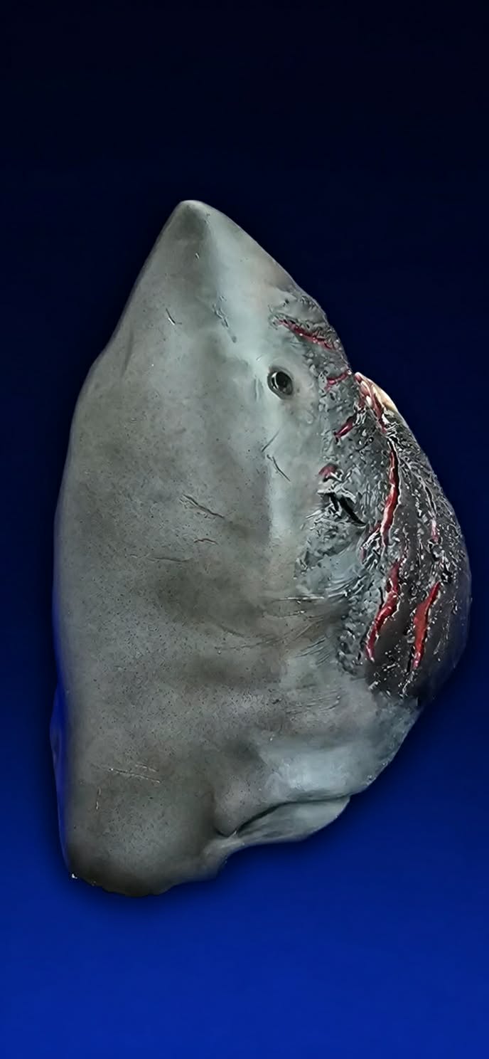 1:8 Scale Scarface Shelf Shark Bust