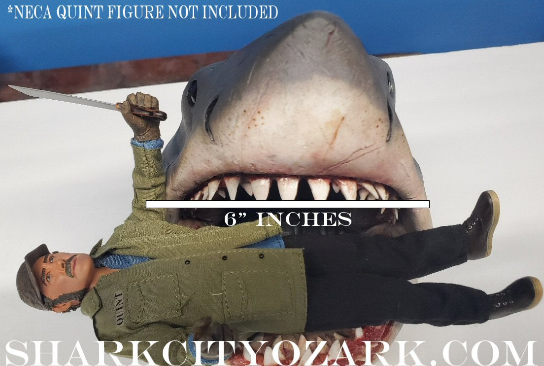 1:8 Scale ORIGINAL 2007 Shelf Shark Bust, now UPDATED!