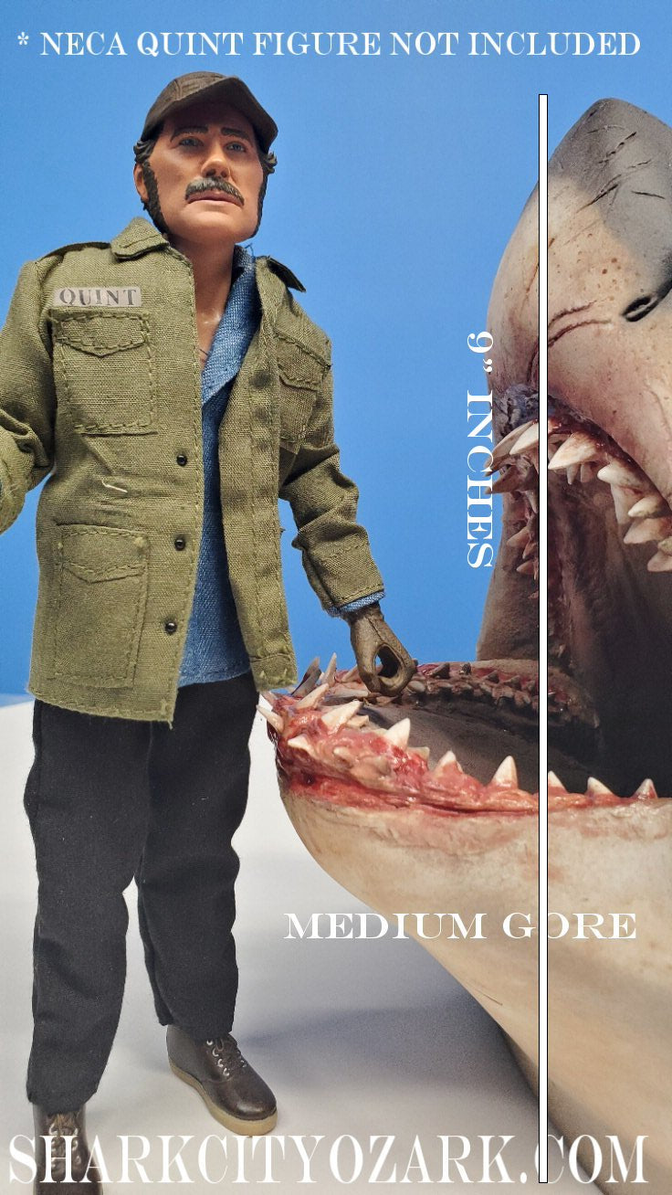 1:8 Scale ORIGINAL 2007 Shelf Shark Bust, now UPDATED!