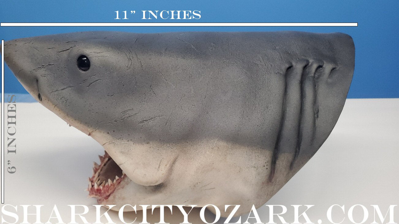 1:8 Scale ORIGINAL 2007 Shelf Shark Bust, now UPDATED!