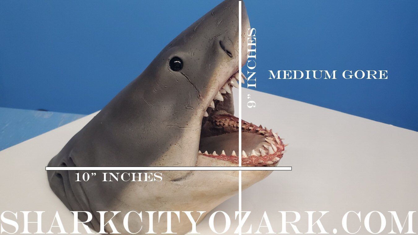 1:8 Scale ORIGINAL 2007 Shelf Shark Bust, now UPDATED!