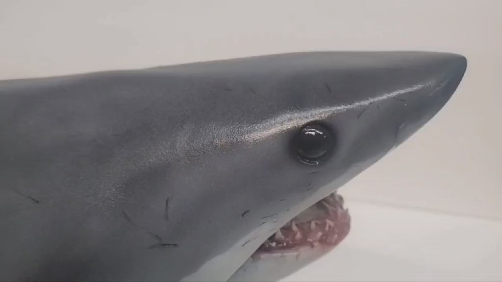 REEL Life: The Mako