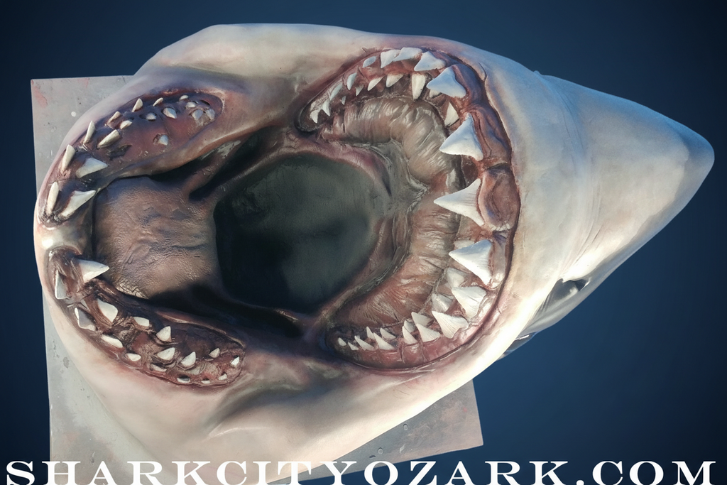 Shark jaw sculpture with dark blue gradient background