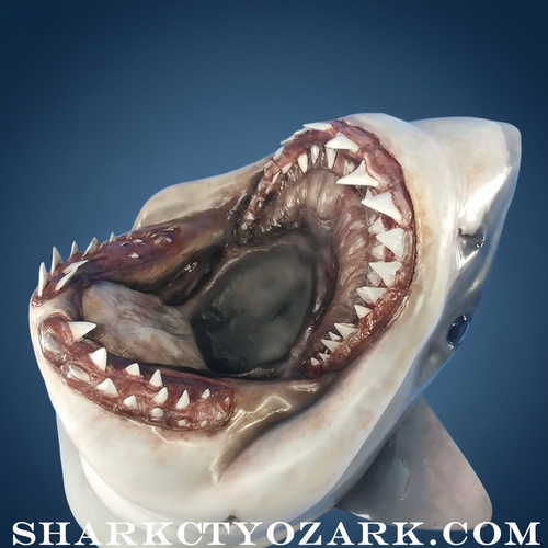 Shark jaw sculpture with dark blue gradient background