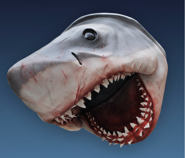 Shark on dark blue gradient background